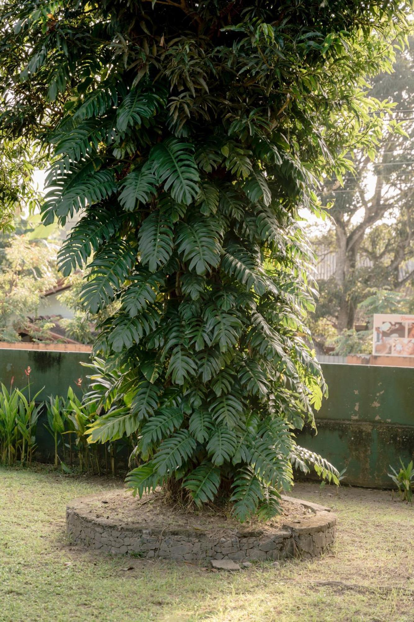Colonial Bungalow Tangalle Exterior photo